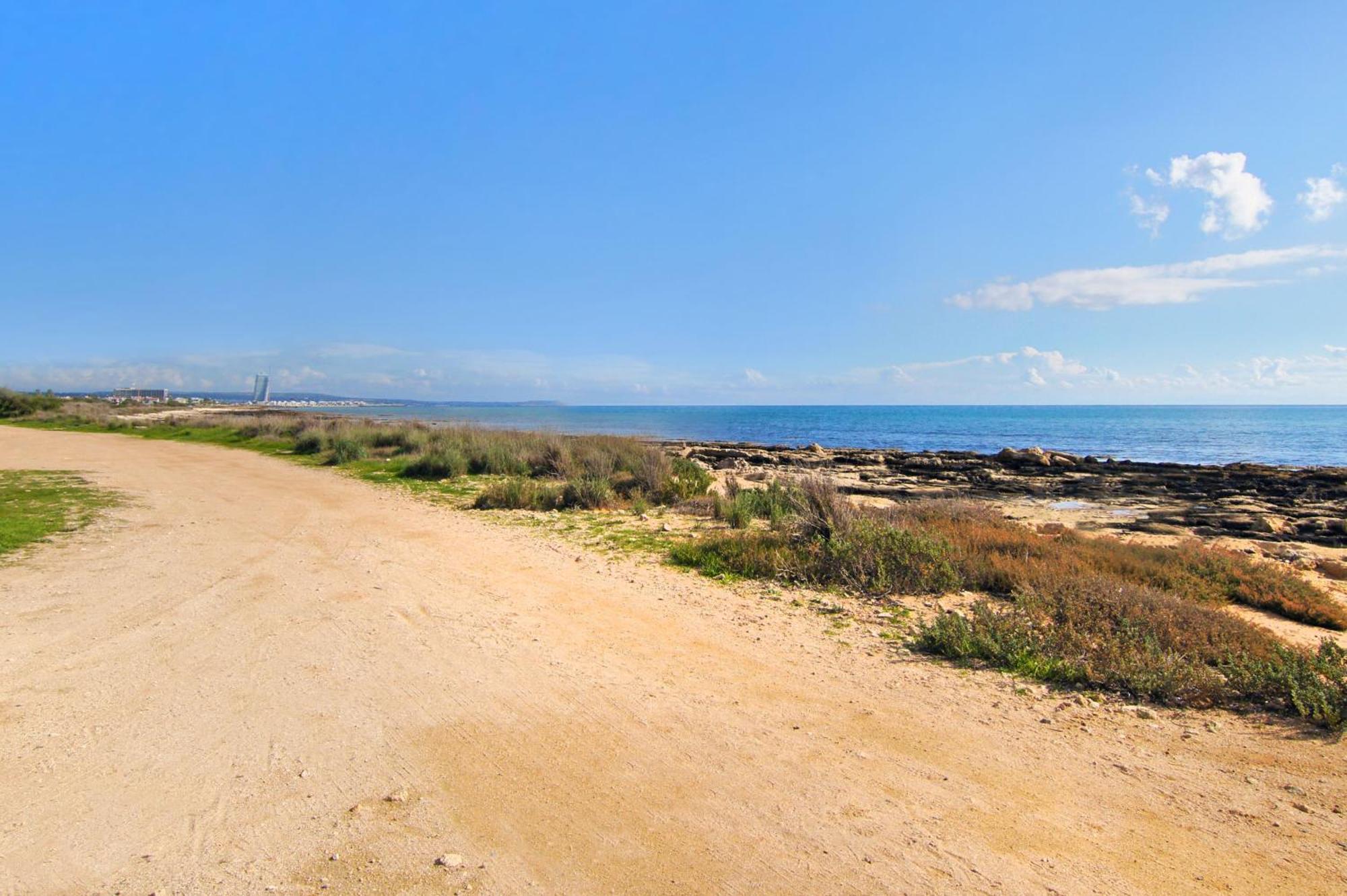 Basil - 50m From Med Sea Ajía Nápa